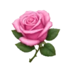 🌹 Эмодзи «Маришкин Пак» для Telegram
