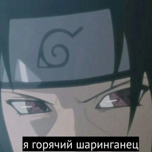 🥵 Стикер «ДИКИЙ ШИПУДЕН» для Telegram