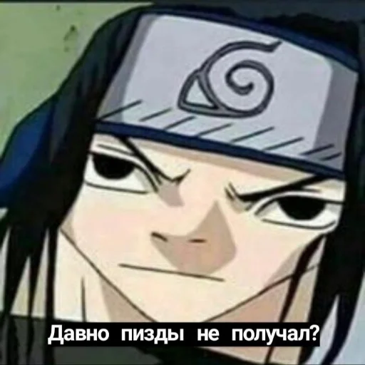 👺 Стикер «ДИКИЙ ШИПУДЕН» для Telegram