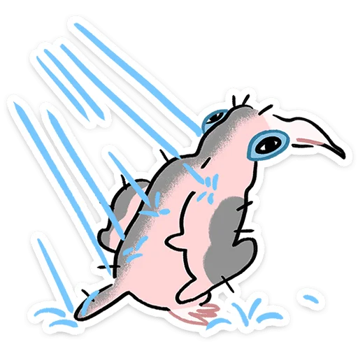 🛀 Стикер «Птенец Дима» для Telegram