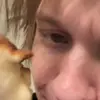 🍌 Эмодзи «дипинс» для Telegram
