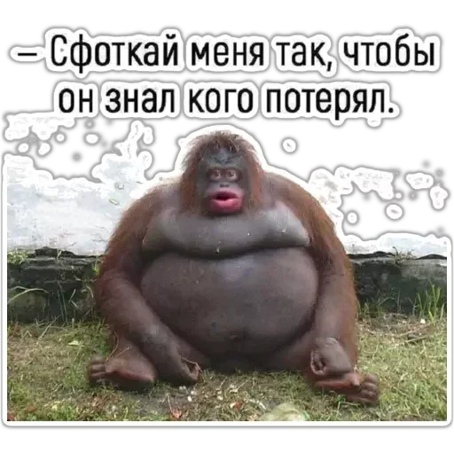 🕸 Стикер «distortion_level_45» для Telegram