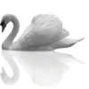 🦢 Эмодзи «Random» для Telegram