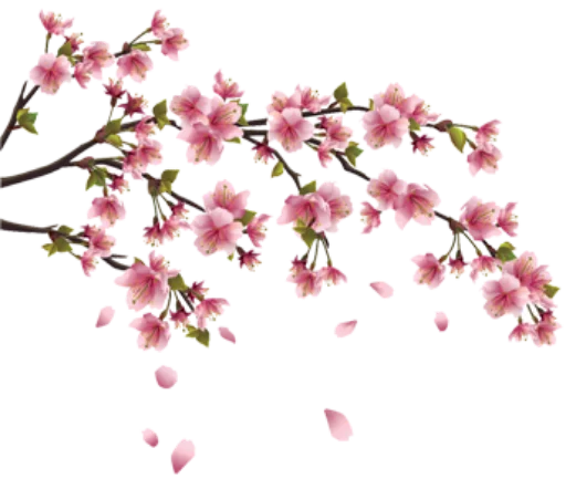 🌸 Стикер «Divisores (20ePoucosAnos)» для Telegram