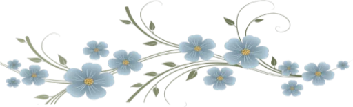 🌺 Стикер «Divisores (20ePoucosAnos)» для Telegram