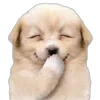 🌟 Эмодзи «Для статуса3» для Telegram