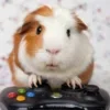 🎮 Эмодзи «Для статуса3» для Telegram