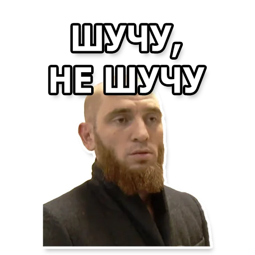 🤨 Стикер «DL TSP II» для Telegram