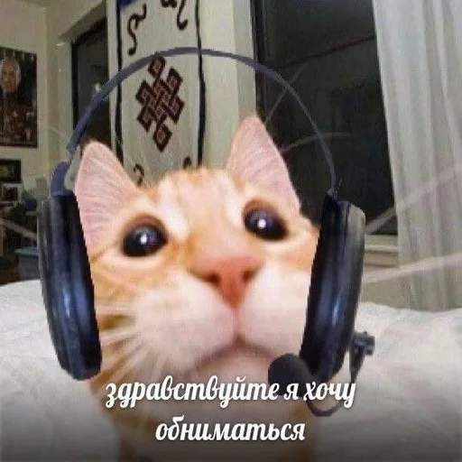 😀 Стикер «Дмитрий» для Telegram