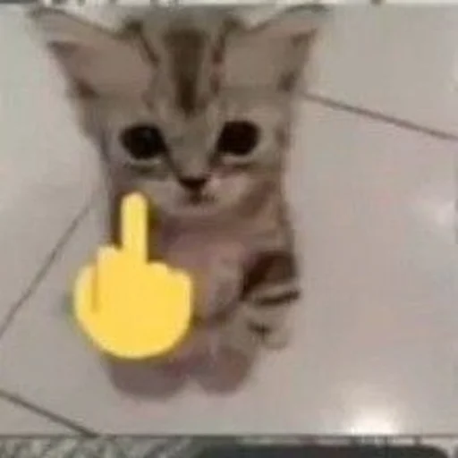 🖕 Стикер «Дмитрий» для Telegram