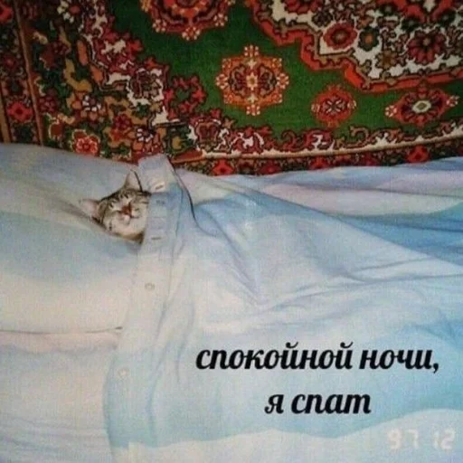 😀 Стикер «Дмитрий» для Telegram