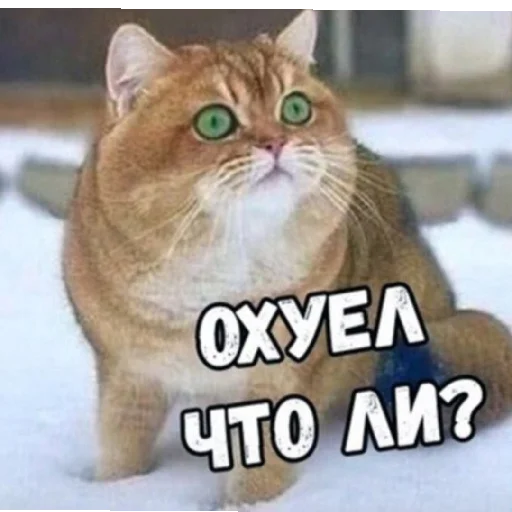 😄 Стикер «Дмитрий» для Telegram