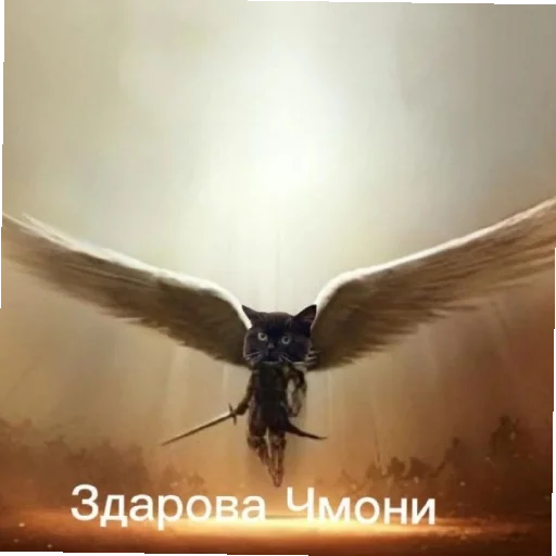 😄 Стикер «Дмитрий» для Telegram