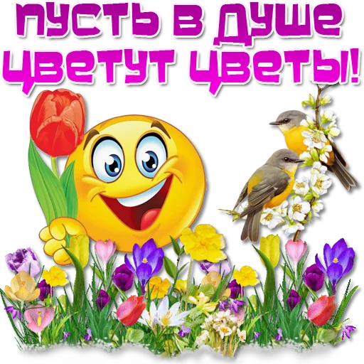 😀 Стикер «Добрые пожелания» для Telegram