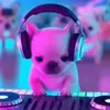 🤩 Эмодзи «dog memes» для Telegram
