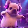 🤩 Эмодзи «dog memes» для Telegram