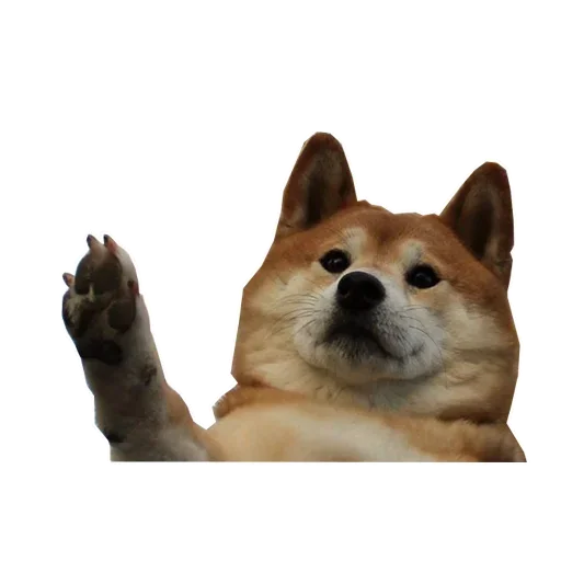 🐶 Стикер «Doge» для Telegram