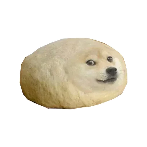 🐶 Стикер «Doge» для Telegram