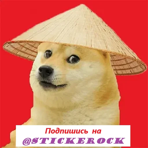 🐶 Стикер «Doge» для Telegram