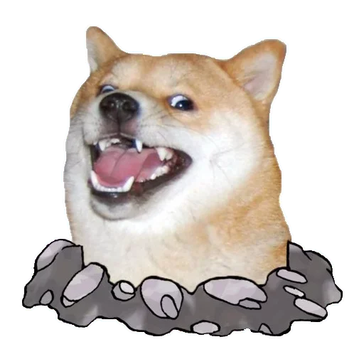 🐶 Стикер «Doge» для Telegram