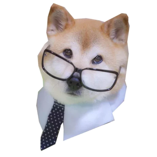 🐶 Стикер «Doge» для Telegram