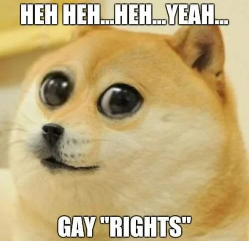 🏳️‍🌈 Стикер «Doge Edits 3» для Telegram