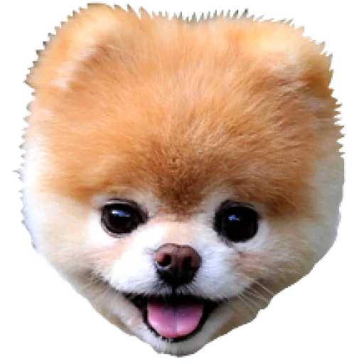 Стикерпак Dogs Friends для Telegram — скачать