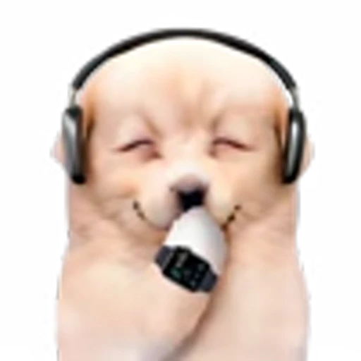 😮‍💨 Эмодзи «doggies» для Telegram