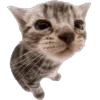 🐾 Эмодзи «Питомцы» для Telegram
