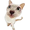 🐾 Эмодзи «Питомцы» для Telegram