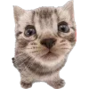 🐾 Эмодзи «Питомцы» для Telegram