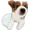 🐾 Эмодзи «Питомцы» для Telegram
