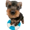 🐾 Эмодзи «Питомцы» для Telegram