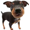🐾 Эмодзи «Питомцы» для Telegram