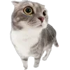 🐾 Эмодзи «Питомцы» для Telegram
