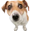 🐾 Эмодзи «Питомцы» для Telegram