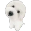 🐾 Эмодзи «Питомцы» для Telegram