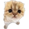 🐾 Эмодзи «Питомцы» для Telegram