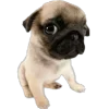 🐾 Эмодзи «Питомцы» для Telegram