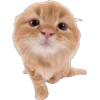 🐾 Эмодзи «Питомцы» для Telegram