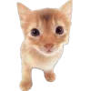 🐾 Эмодзи «Питомцы» для Telegram