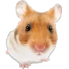 🐾 Эмодзи «Питомцы» для Telegram