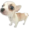 🐾 Эмодзи «Питомцы» для Telegram