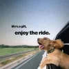 🥹 Эмодзи «Doggy» для Telegram