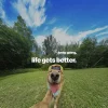 🥹 Эмодзи «Doggy» для Telegram