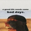 🥹 Эмодзи «Doggy» для Telegram