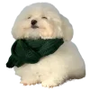 🙂 Эмодзи «Doggy» для Telegram