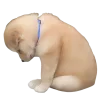 😔 Эмодзи «Doggy» для Telegram