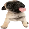 😛 Эмодзи «Doggy» для Telegram