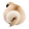 😔 Эмодзи «Doggy» для Telegram
